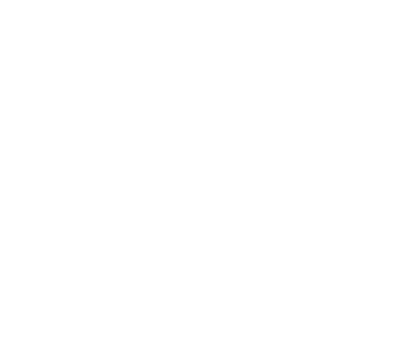 bus-fonden