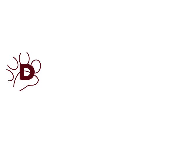 dogpark